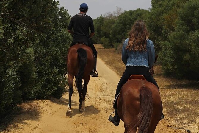 Horseback riding with private transfer - What makes the private format worthwhile