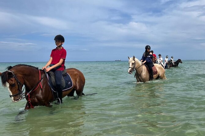 Horseback riding with private transfer - Guides, safety, and the tone of the outing