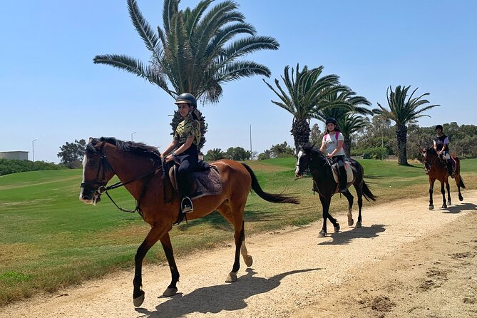 Horseback riding with private transfer - Timing, weather, and what to bring