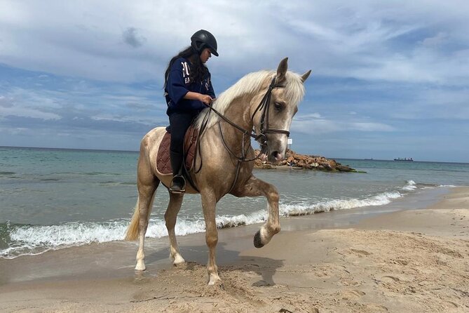 Horseback riding with private transfer - Riding the tracks and open countryside