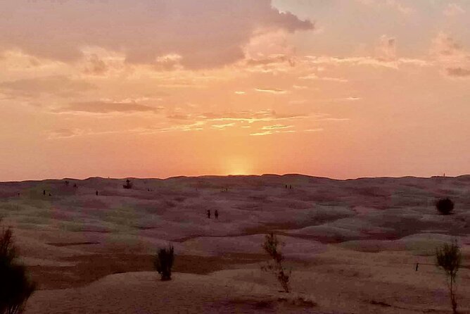 Ksar Ghilaine and Chneni Tataouine 1 day tour in Tunisia - Key points before you book