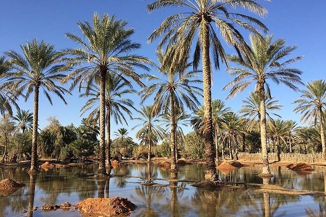 Ksar Ghilaine and Chneni Tataouine 1 day tour in Tunisia - What the $163.49 price really covers