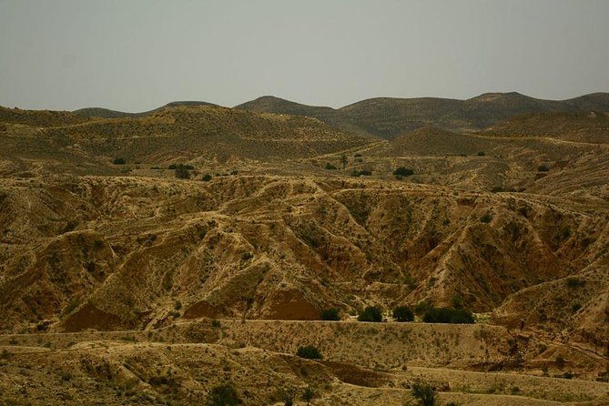 Ksar Ghilane 1 day: The hot spring and the homestay - Key points to know before booking