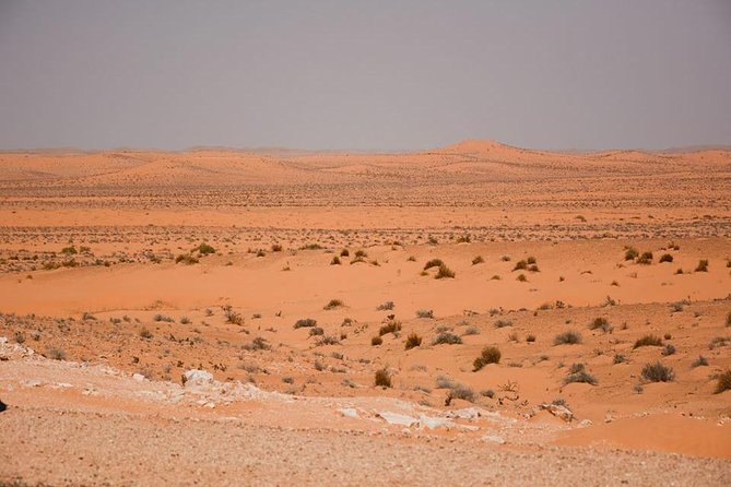 Ksar Ghilane 1 day: The hot spring and the homestay - Ksar Ghilane: hot water beside the dunes