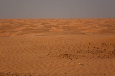 Ksar Ghilane 1 day: The hot spring and the homestay