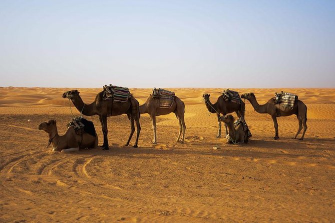 Ksar Ghilane 1 day: The hot spring and the homestay - Toujane: ten minutes for photographs