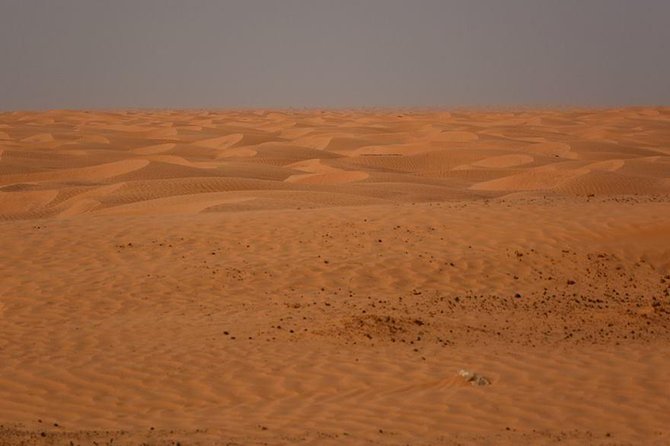 Ksar Ghilane 1 day: The hot spring and the homestay - Tamazret and the rosemary tea pause