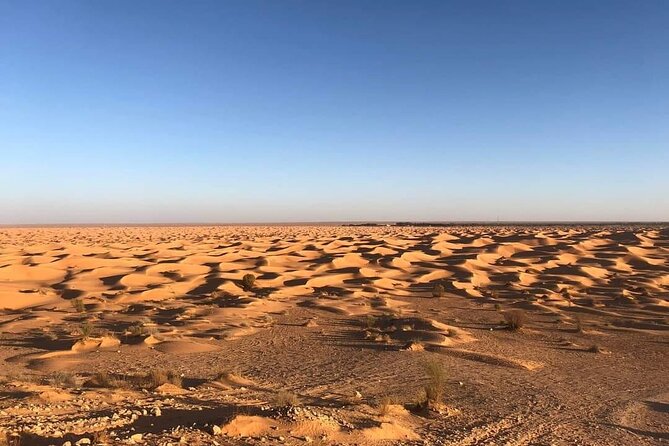 Night excursion to the desert and Berber village from Djerba - Why this desert trip is worth your time