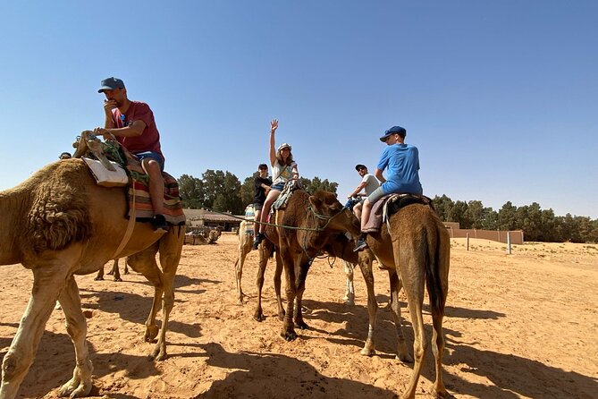 Night excursion to the desert and Berber village from Djerba - Ksar Ghilane brings water to the desert