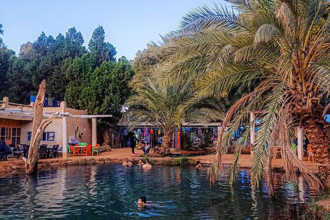 Night Under Tent 2 Day Excursion Ksar Ghilane - Why this tour works better than a quick desert visit