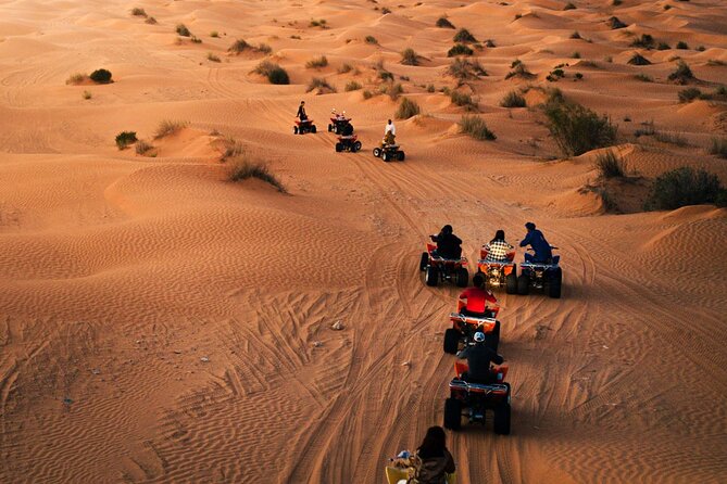 Night Under Tent 2 Day Excursion Ksar Ghilane - Ksar Ghilane brings water to the desert