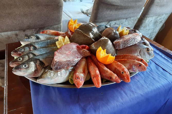 North Africa Tour Bizerte Cape Angela and Ichkeul Unesco park - Who should book this experience?