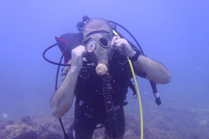 Octopus Rock Exploration - Certified Diver - Starting at Club de Plongée La Sirène at 8:30 am