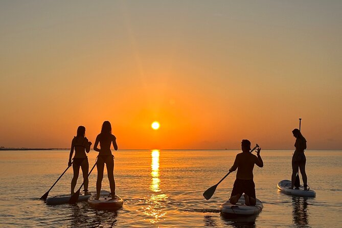 Paddle with us in Golf Hammamet - Hammamet’s coast from a paddleboard