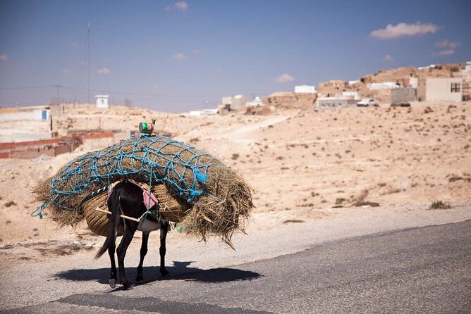 PRIVATE 2 day SAFARI (Ksar Ghilane and Atlas Mountains) from Jerba - Ksar Ghilane is the first major reward