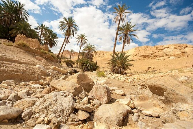 PRIVATE 2 day SAFARI (Ksar Ghilane and Atlas Mountains) from Jerba - Sunrise at Chott El Jerid changes the mood
