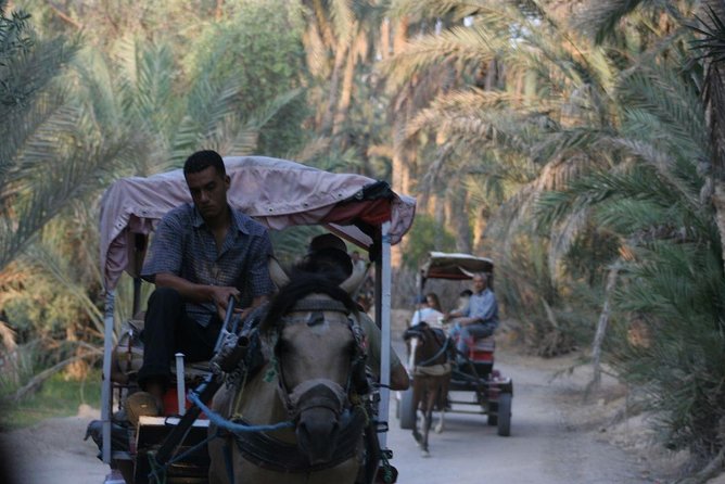 PRIVATE 2 day SAFARI (Ksar Ghilane and Atlas Mountains) from Jerba - Tozeur brings palms, carriages and a hotel by the oasis