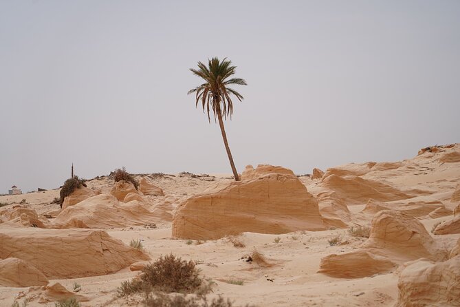 Private 3 Day Tour in Southern Tunisia or More - Tozeur: hotel comfort, palms, and an evening walk