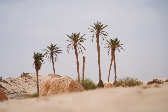 Private 3 Day Tour in Southern Tunisia or More - The long return through western and central Tunisia