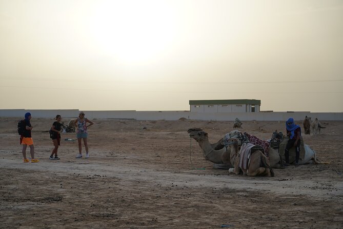 Private 3 Day Tour in Southern Tunisia or More - Day 1: El Jem starts the journey south