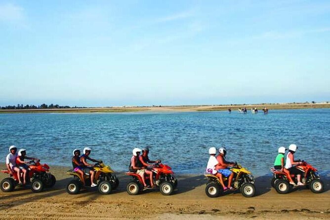 Private 3h00 quad ride on the island of Djerba - Leaving the resort area for olive trees and palms