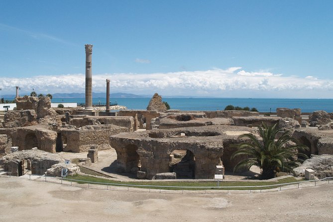 Private Day Tour Tunis Medina Carthage Sidi Bou Said Bardo Museum - Five reasons this Tunis day tour works well