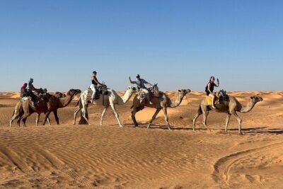 Private Day Trip Ksar Ghilane Oasis