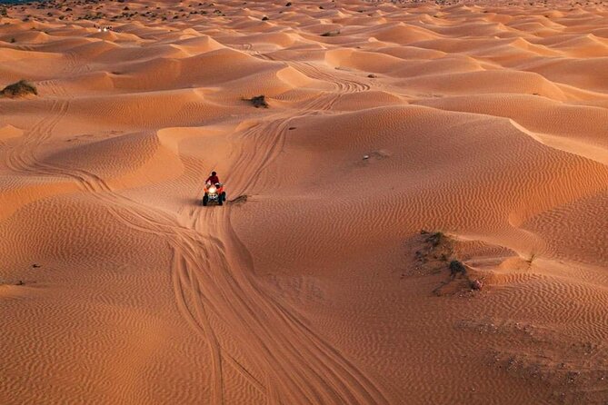 Private Day Trip Ksar Ghilane Oasis - What the private vehicle and guide add