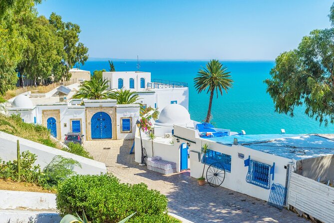 Private Day Trip Tunis Carthage Sidi Bou Said - Tunis Medina: The Most Local Part of the Day