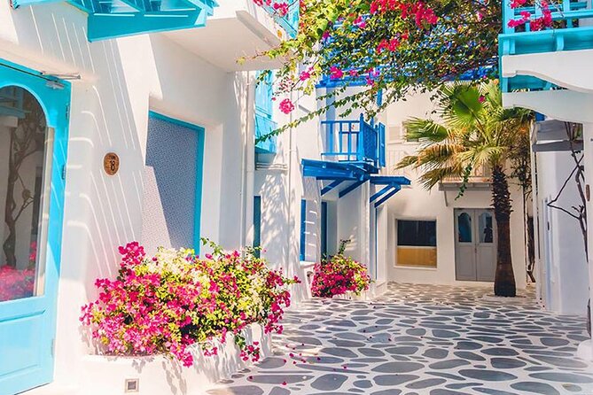 Private Day Trip Tunis Carthage Sidi Bou Said - What the Private Format Really Adds