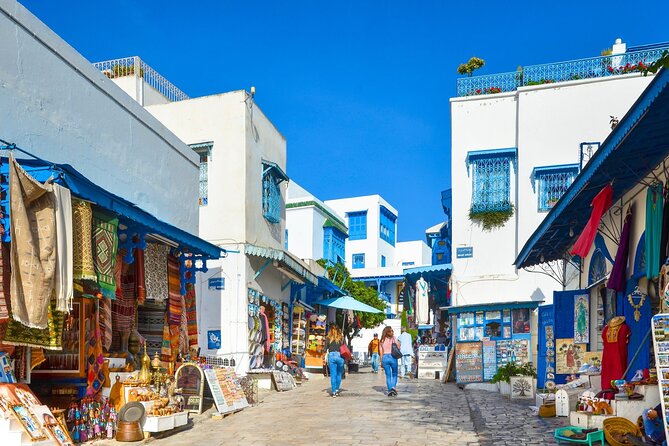Private Day Trip Tunis Carthage Sidi Bou Said - Timing, Comfort, and Practical Details