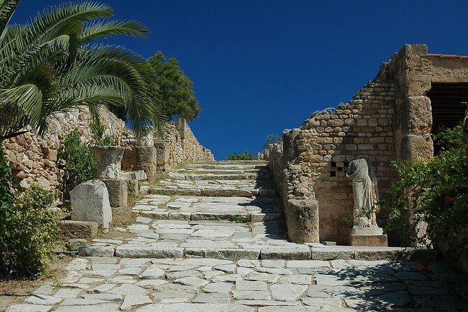 Private Day Trip Tunis Carthage Sidi Bou Said - Who Will Enjoy This Day Trip Most?