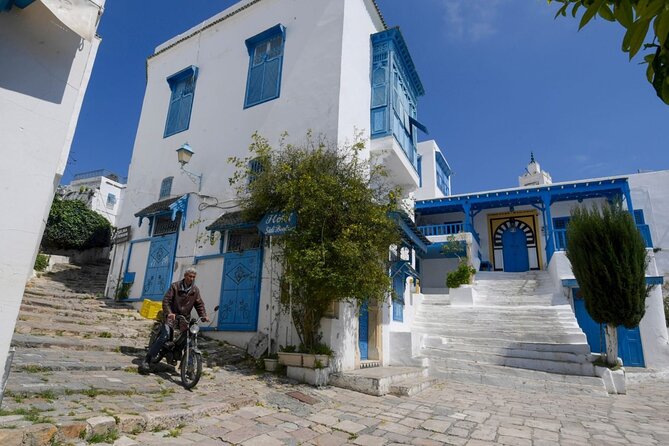 Private Day Trip Tunis Carthage Sidi Bou Said - Should You Book It?