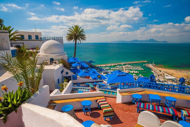 Private Day Trip Tunis Carthage Sidi Bou Said - Carthage: Roman Ruins Beside the Sea