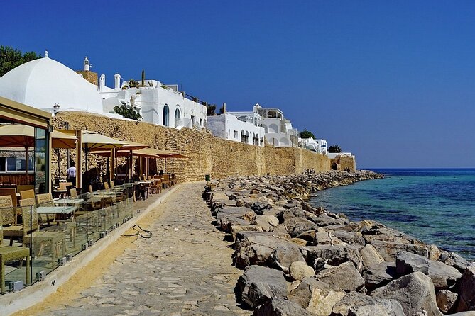 Private Excursion to the Cap Bon Peninsula - Who will get the most from this private outing