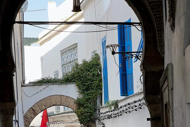 Private Group Day Tour Tunis Medina Carthage Sidi Bou Said - Sidi Bou Said and the lighthouse finish on a lighter note