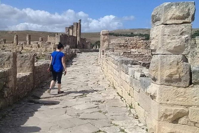 Private Guided Tour of Dougga and Testour Mosque - Who should book this experience?