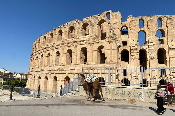 Private Half Day Tour Roman Coliseum EL JEM - What the private format is really worth