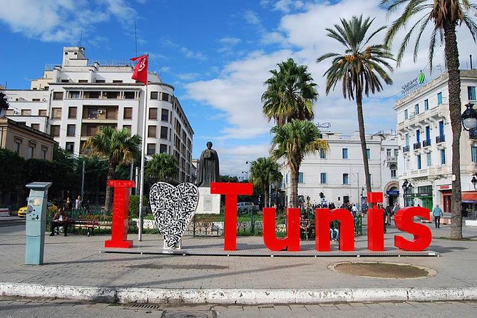 Private Half Day Tunis City Tour - Walking through the Medina of Tunis