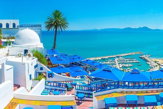 Private Tour Bardo Museum, Carthage, Sidi Bou Said and Medina - Key things to know before you book