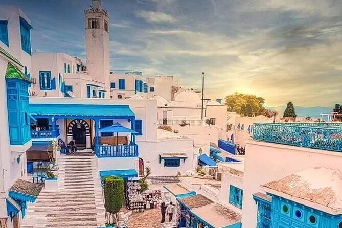 Private Tour Bardo Museum, Carthage, Sidi Bou Said and Medina - Why this Tunis day tour works