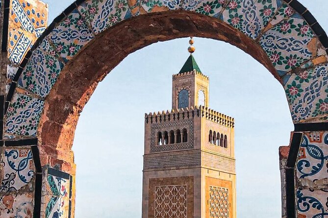 Private Tour Bardo Museum, Carthage, Sidi Bou Said and Medina - The Baths of Antoninus in a 30-minute stop
