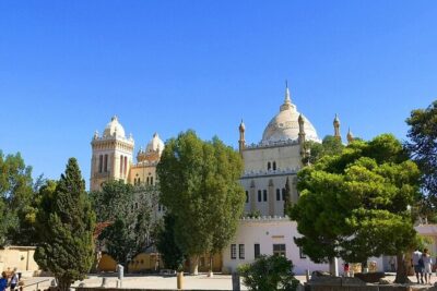 Private Tour Bardo Museum, Carthage, Sidi Bou Said and Medina