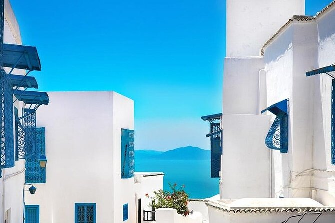 Private tour: Medina,Carthage ,Sidi Bou Said, Bardo Museum+lunch - Key points to know before booking
