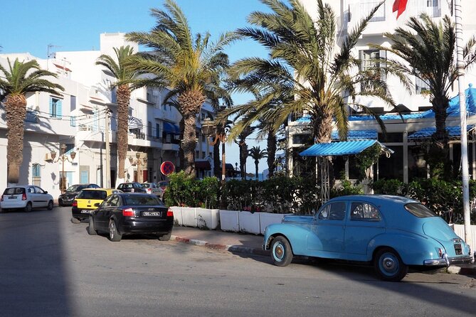 Private tour: Medina,Carthage ,Sidi Bou Said, Bardo Museum+lunch - Guides, communication, and personal service