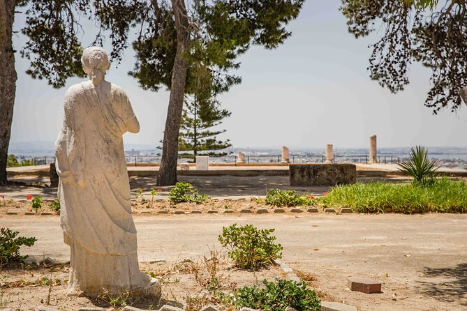 Private Walking Tour of Carthage Archaeological Site in Tunisia - Key points to know before visiting Carthage