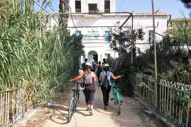 Self guided bike tour of Carthage archeological site - The main archaeological site deserves three hours