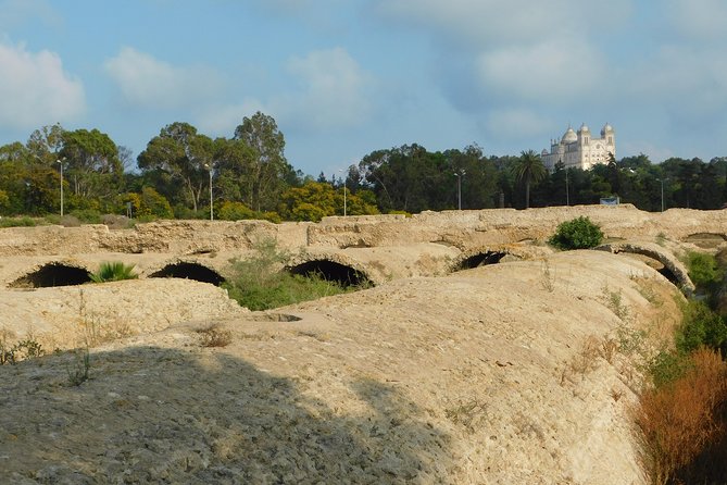 Self guided bike tour of Carthage archeological site - A quiet pause at the North Africa American Cemetery