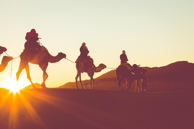 Sunset or Sunrise Camel ride in the Sahara Desert of Douz - Key points to know before you book
