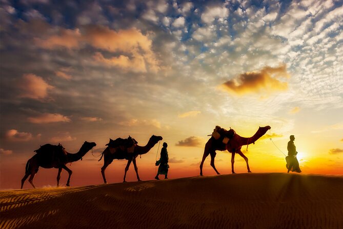 Sunset or Sunrise Camel ride in the Sahara Desert of Douz - The transfer from your Douz hotel